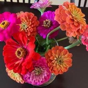 Meet your Posher, Joan